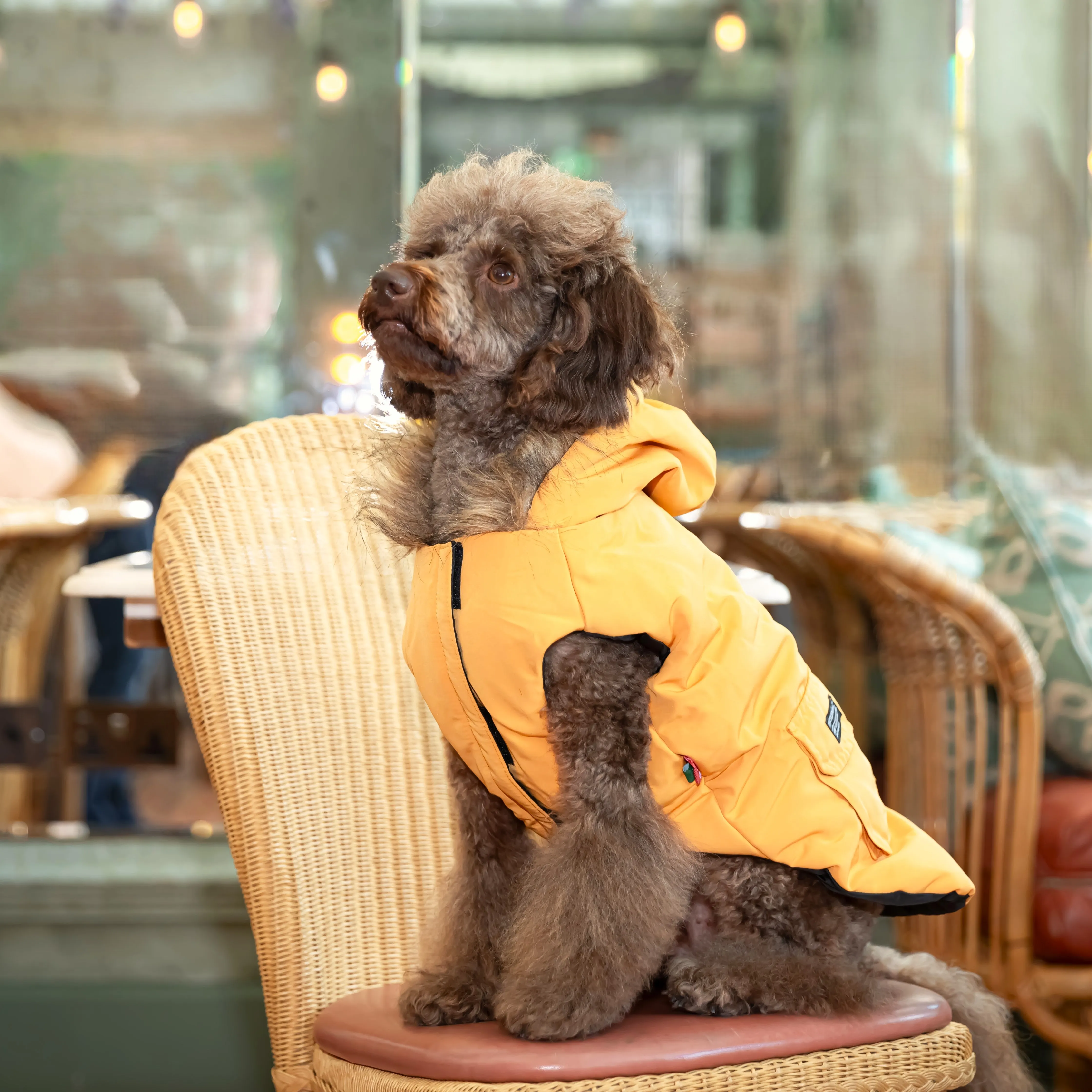 Après Ski Parka Vest Dog Jacket