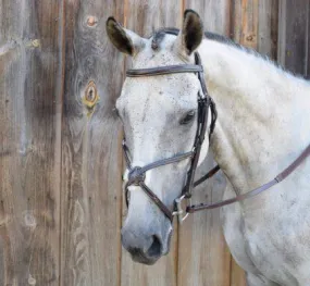 Black Oak Cedar Eventing Bridle