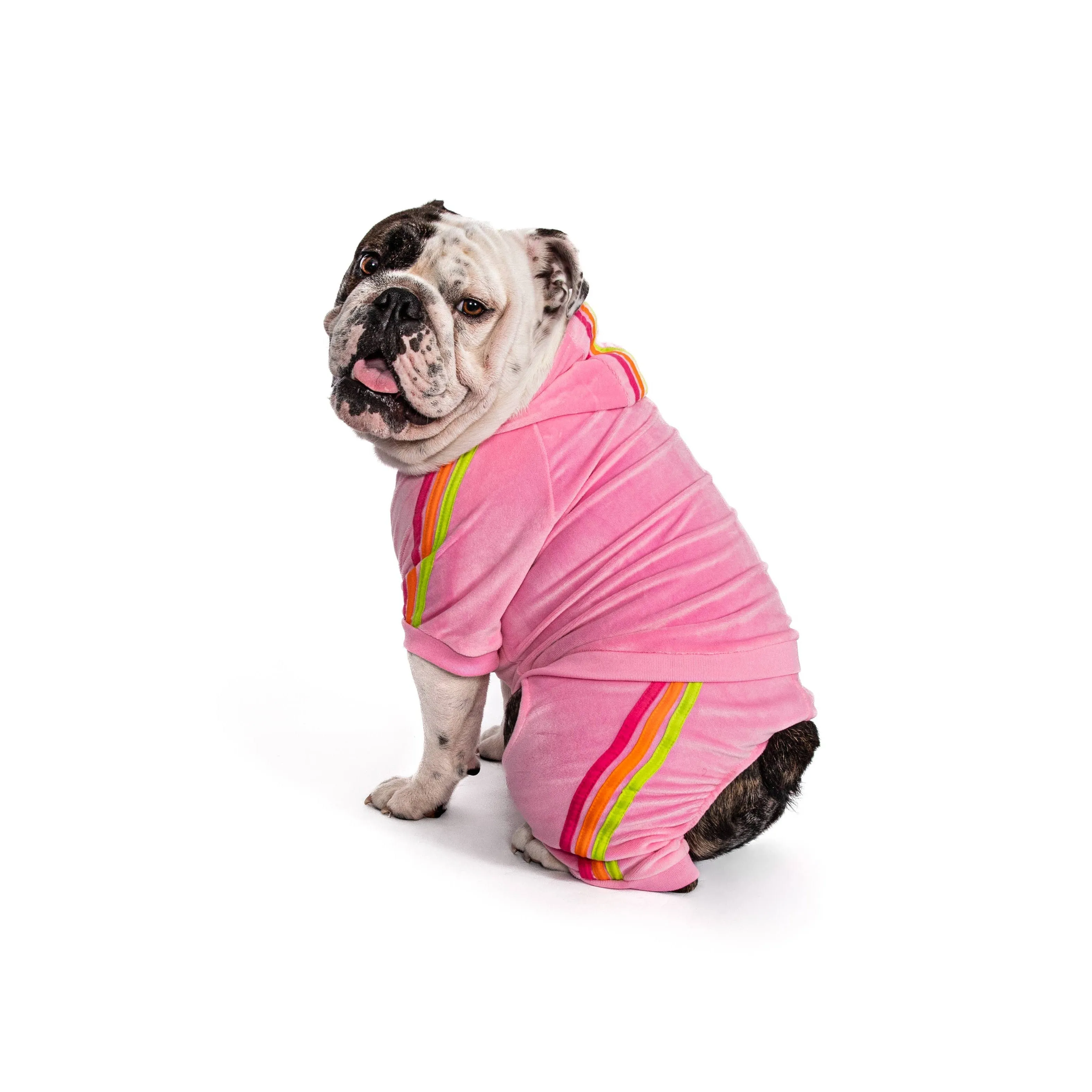 Fabdog | Velour Dog Jogger - Pink