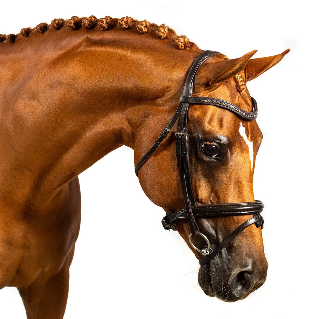 Havana Snaffle Bridle 'Hardy'