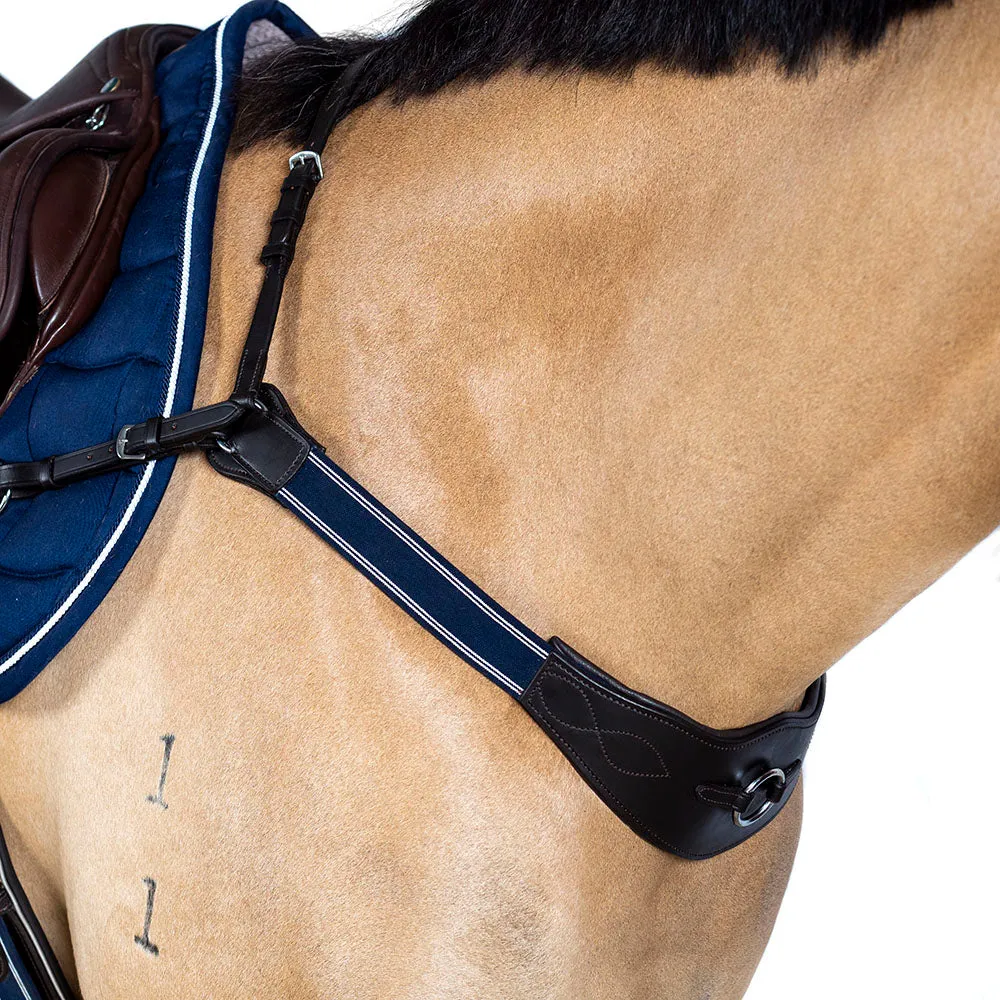 Modified Bridge Breastplate - with Blue and White Elastics